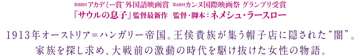 “1913年オーストリア＝ハンガリー帝国。王侯貴族が集う帽子店に隠された“闇”。家族を探し求め、大戦前の激動の時代を駆け抜けた女性の物語。