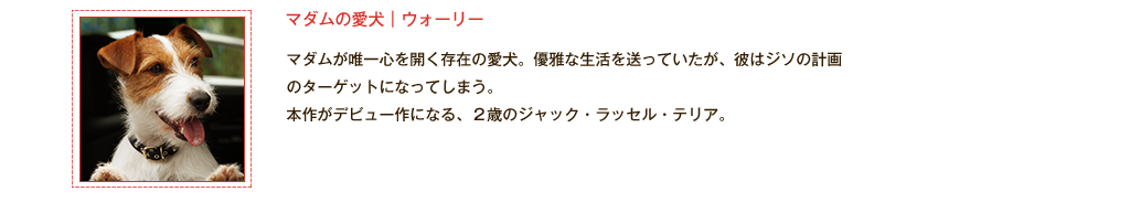 【マダムの愛犬｜ウォーリー】マダムが唯一心を開く存在の愛犬。優雅な生活を送っていたが、彼はジソの計画のターゲットになってしまう。本作がデビュー作になる、2歳のジャック・ラッセル・テリア。