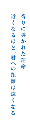 香りに導かれた運命 近くなるほど、君への距離は遠くなる