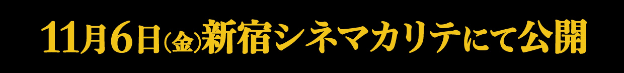 11月6日(金)新宿シネマカリテにて公開