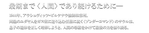 最期まで＜人間＞であり続けるために―　1944年、アウシュヴィッツ=ビルケナウ強制収容所。同胞のユダヤ人をガス室に送り込む任務に就く＜ゾンダーコマンド＞のサウルは、息子の遺体を正しく埋葬しようと、人間の尊厳をかけて最後の力を振り絞る。